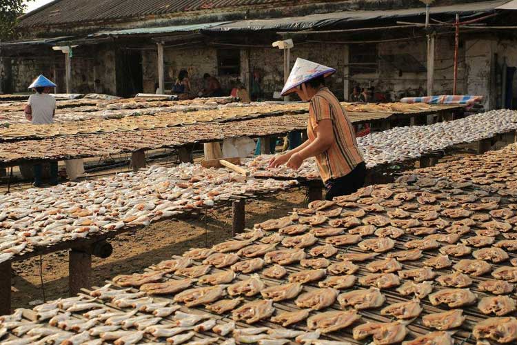 曬魚干