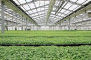 除濕器如何解決高濕度、多種危害的溫室除濕問題？