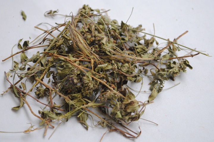 百奧烘干機